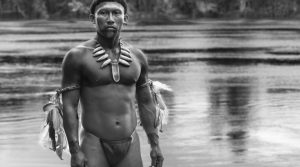 Embrace the Serpent Review Image