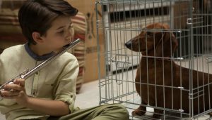 Weiner Dog Sundance Review Image