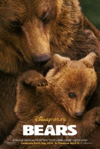 bearsposter