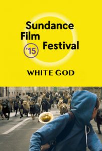 whitegodsundanceposter